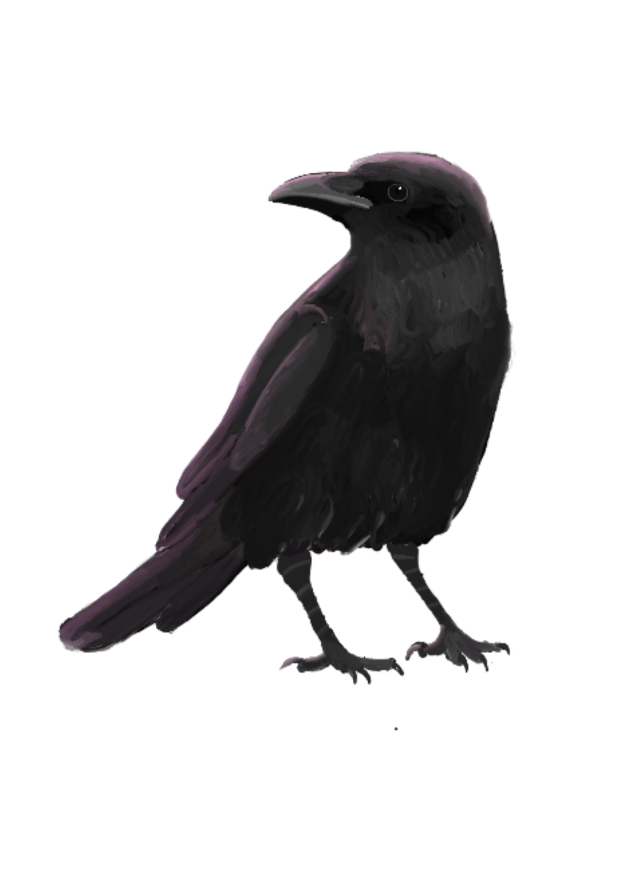 Kuro, ein gemalter Rabe, eines meiner Stream-Maskottchen.